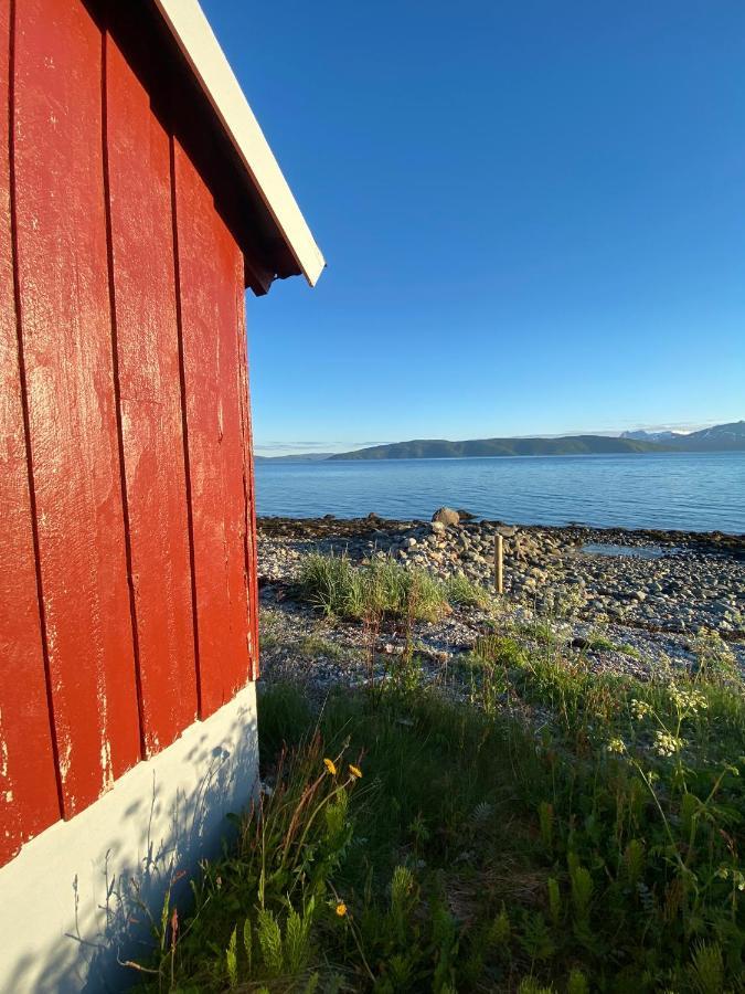 Unique And Charming Holiday Home With Fantastic Sea Views Tromso Exterior photo