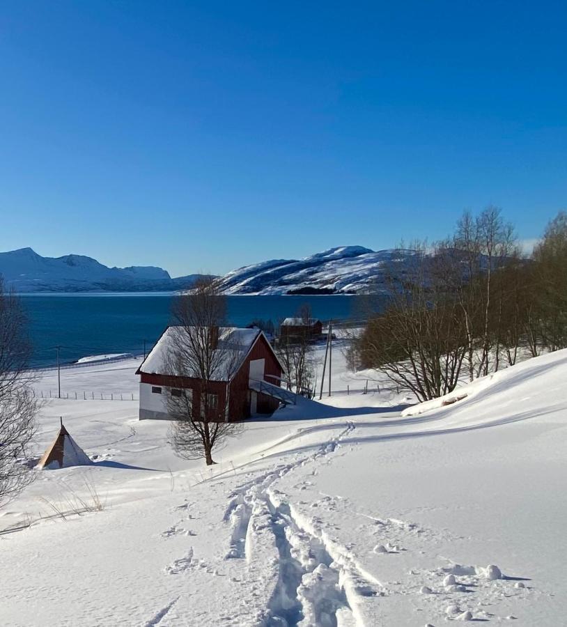 Unique And Charming Holiday Home With Fantastic Sea Views Tromso Exterior photo